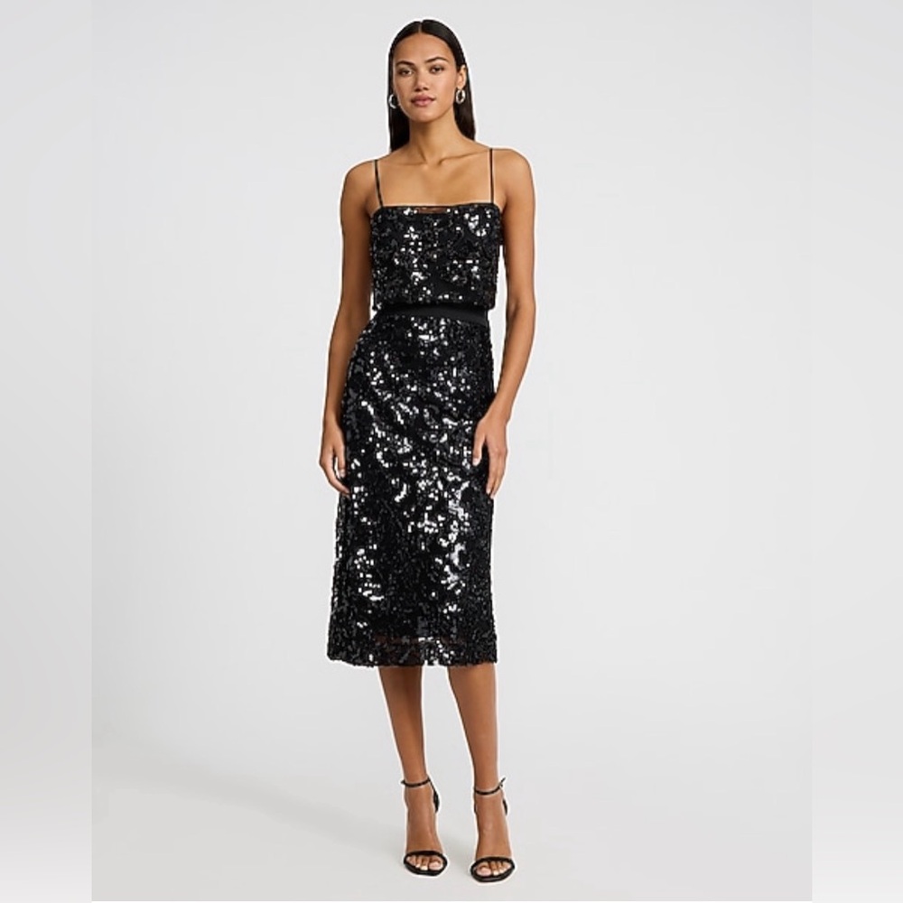 NWT Express High Waisted Printed Sequin Midi Skirt - size 2, 4 & 8 - Picture 6 of 7